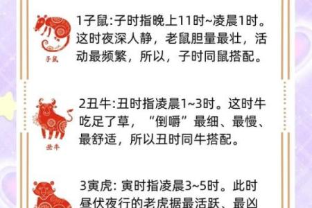 深度：苦海无涯是什么生肖,高清词语释义全面解答精选最佳
