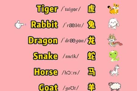 日记：易放难收是什么生肖,终极成语释义精选解析最佳全面
