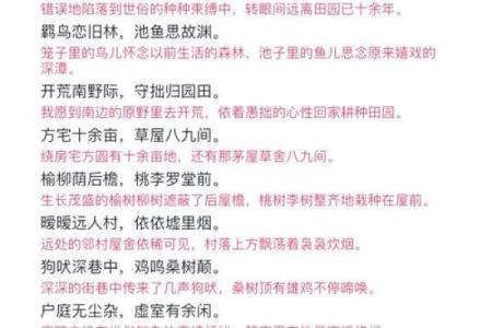 最新刷新完整版：乡土难离是指什么生肖,重点词语剖析落实精选最佳释义