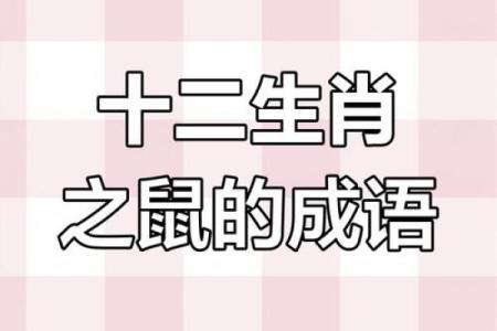 最新曝光：丝丝入扣是什么生肖,必看词语释义精选解析最佳全面