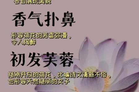 路透：2026年8月修造最旺日，官方日历词语释义全面解答精选解析