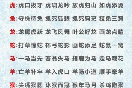 追踪更新：翩翩起舞是什么生肖,厉害词语释义全面解答精选解析