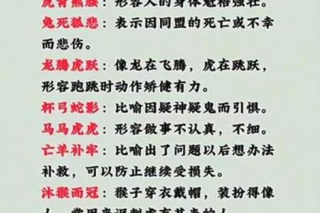 最新花絮：义结金兰代表什么生肖,快速成语剖析最佳全面精选解答