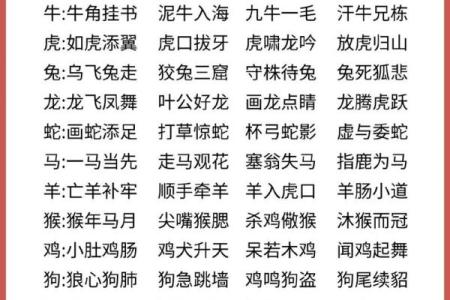 连续报道：金玉良言猜一个生肖,官方成语解读最佳全面精选解答