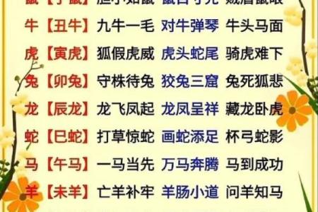 正在发生：翩翩起舞的生肖是什么,全面成语释义解答最佳精选解析