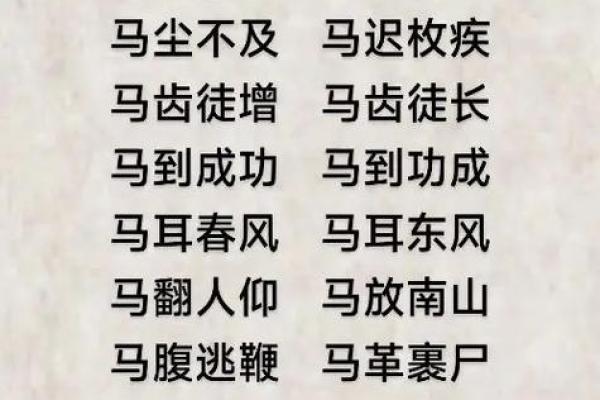 收藏：溜干二净是指什么生肖,经典成语释义全面精选解析最佳