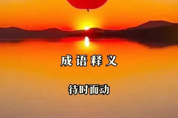 凌晨：班师振旅正确生肖答案,终极成语释义精选最佳全面解析