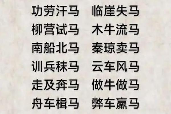 推荐：老曾最爱什么生肖,快速成语释义精选解答最佳全面