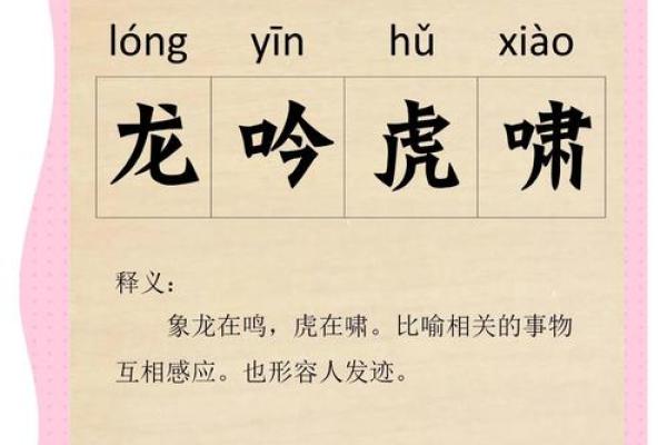 首度公开：风雨无阻打一个生肖,重磅成语释义解答全面精选最佳
