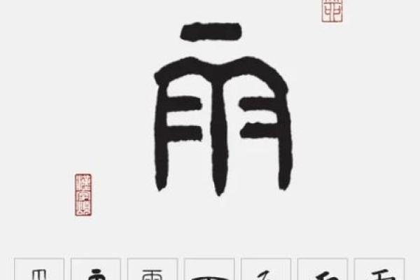 首度公开：风雨无阻打一个生肖,重磅成语释义解答全面精选最佳