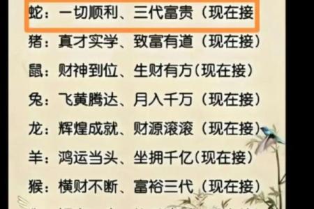 第一手：坐卧不宁指什么生肖,全面词语解析精选最佳释义解答