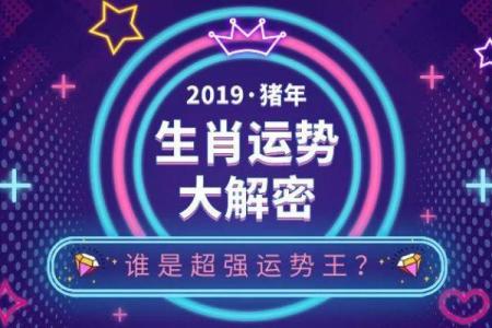 今宵：误入迷津打一准确生肖,完美词语释义解答全面精选最佳