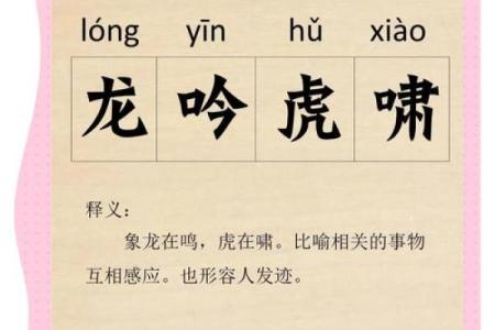 首度公开：风雨无阻打一个生肖,重磅成语释义解答全面精选最佳