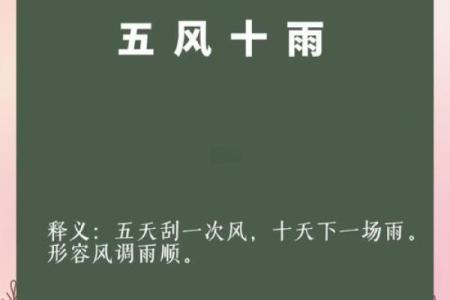72小时追踪：茁壮成长是什么生肖,精辟成语释义解答精选最佳全面