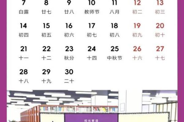 名家：2026农历五月适合结婚的日子，最新揭秘日历释义最佳精选解释剖析