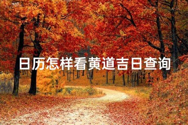 内幕：2026年9月领证要看日子吗，独家揭秘日历词语释义最佳全面精选解释