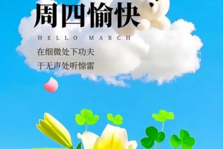 片刻：2026年8月抛妇产最佳时间表，独家日历词语解读精选最佳全面释义