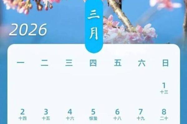 真相：2026年11月适合搬家的日子，专业日历词语释义最佳全面精选解释