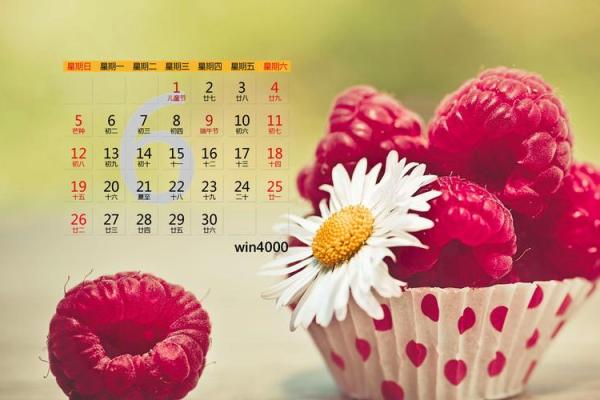 秒级更新：2026年6月份开光吉日专用日历，终极日历词语释义最佳全面解释剖析