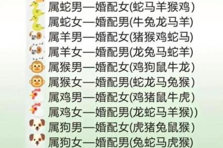 劲爆：2026年11月安门吉日查询，最佳安门时间推荐，详细解读落实吉日释义最佳解释剖析
