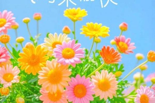 最新刷新24小时:2026年8月适合装修开工的日子,重点推荐黄历吉日解析最佳精选全面解答 最新刷新24小时:2026年8月适合装修开工的日子,重点推荐黄历吉日解析最佳精选全面解答