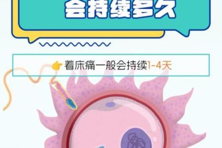 秘籍：2026年6月份适合抛妇产的黄道吉日，详细日历词语解析精选最佳全面解答
