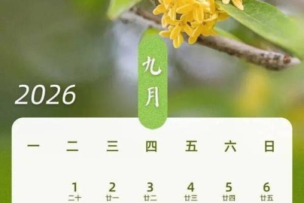 24小时：2026年结婚日子最吉利的日子，快速了解日历词语释义最佳全面精选解答