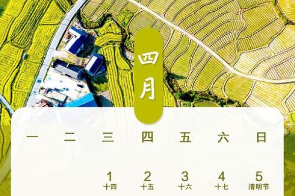 24小时：2026年结婚日子最吉利的日子，快速了解日历词语释义最佳全面精选解答