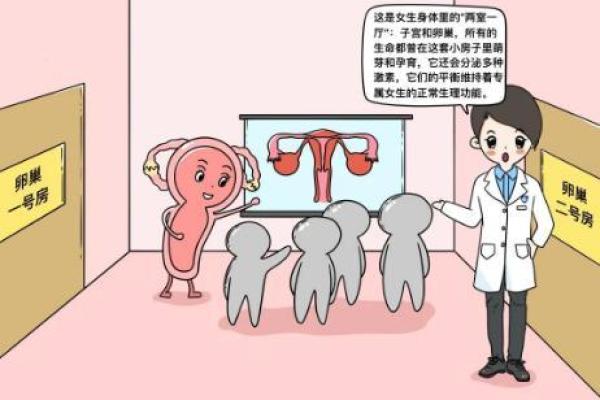 最新深夜更新：12月份剖腹产吉日查询，2023年最佳择日推荐，作答解析日历词语解释义最佳黄历剖析全面