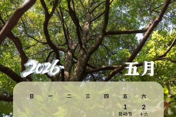深扒：2026年五月领证吉日，重磅日历词语释义解读最佳全面精选解析