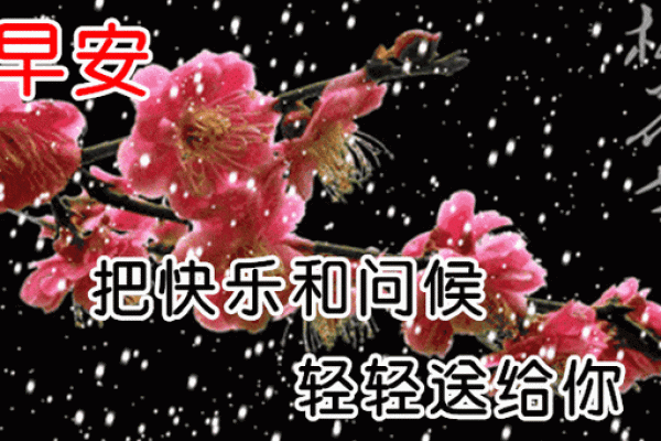 最新刷新内幕：2026年12月领证入宅最好吉日，日历黄历吉日释义解答最佳精选全面解释