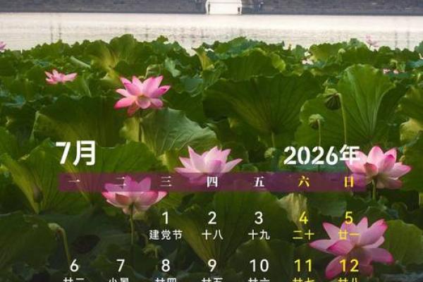 此刻更新：2026领证日子，核心日历词语释义解答精选全面最佳