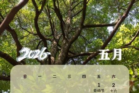 深扒：2026年五月领证吉日，重磅日历词语释义解读最佳全面精选解析