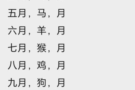 预测：2026年领证吉日吉时一览表，严选剖析黄历吉日解析全面精选最佳释义