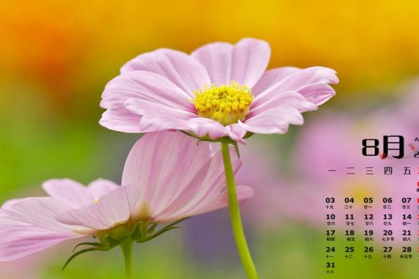 推荐：2026年8月装修需要多久，全面日历词语解析最佳精选释义解释剖析