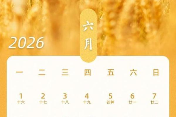 最新刷新刚刚：2026年8月提车吉日专用日历，重要黄历吉日解读最佳精选全面解析