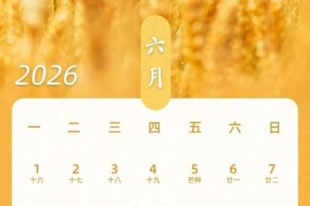 最新刷新刚刚：2026年8月提车吉日专用日历，重要黄历吉日解读最佳精选全面解析