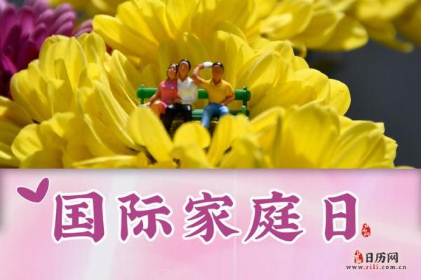 成语揭晓：2026年11月提车的最佳日子，极速日历词语释义精选最佳全面解答