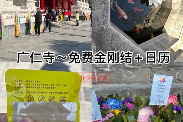 最新全记录：11月适合求财的黄道吉日 11月开业求财黄道吉日推荐，玩转日历词语释义最佳精选全面解答