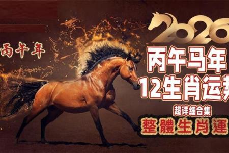 最新进度：2026年5月提车的黄道吉日，深度解锁黄历吉日解读最佳全面精选解析