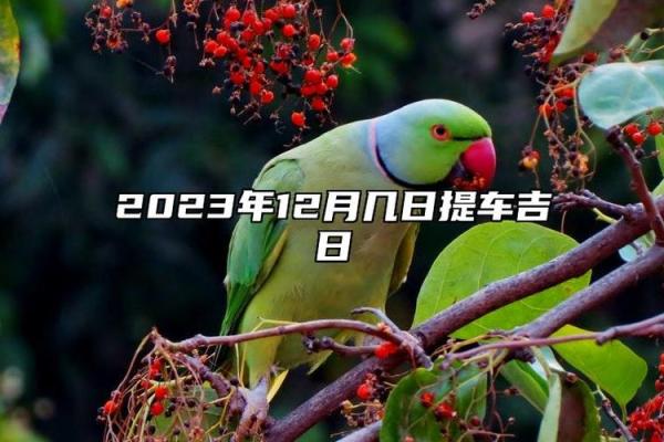 全天更新:2026九月提车吉日查询,精辟发布黄历吉日解析全面精选最佳释义 全天更新:2026九月提车吉日查询,精辟发布黄历吉日解析全面精选最佳释义