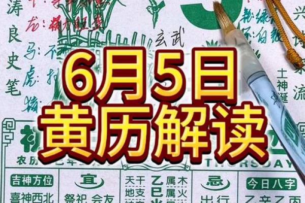 最新实录：2026年5月5日适合结婚吗，精准黄历吉日解读最佳全面精选释义