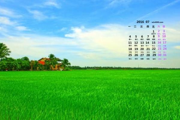 试用：2026年7月份适合结婚的黄道吉日，重磅日历词语解读最佳精选全面释义