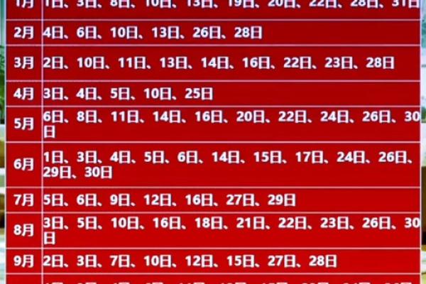 持续发酵：2026年六月适合开业的好日子，独家发布日历词语解读全面精选最佳释义