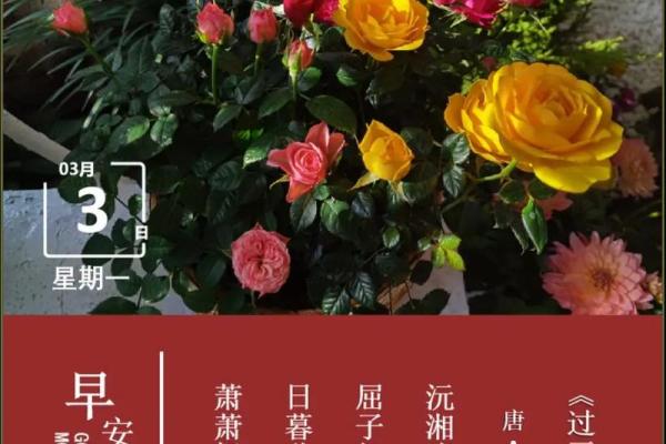 今日诗词详解：2026年12月装修最吉利日子，一流日历词语解答精选最佳全面释义