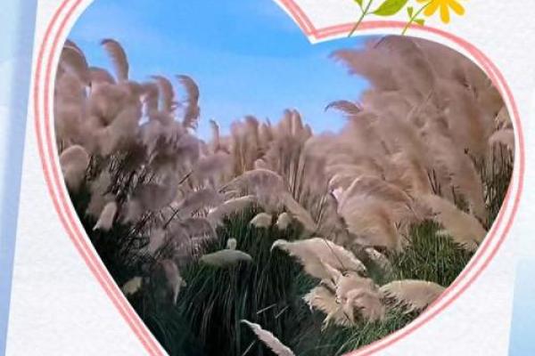 最新刷新此刻更新：25年10月适合结婚的日子，通透日历词语解读精选最佳全面解析