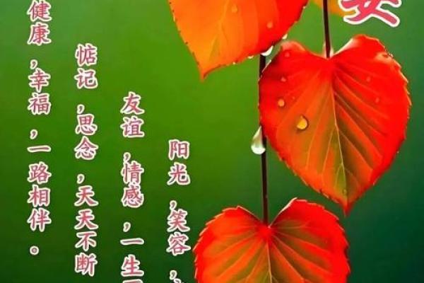 三分钟：2026年7月乔迁大吉日子，核心日历释义落实最佳精选词语解释