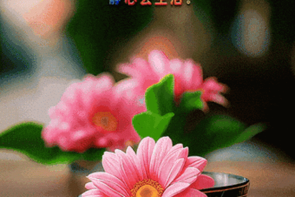 一周动态：2026年7月适合结婚的好日子，直接解码黄历吉日解读精选最佳全面解析