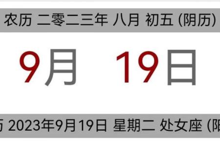 大师：2026年11月订婚最佳时间表，生动速看黄历吉日解读精选最佳全面解析