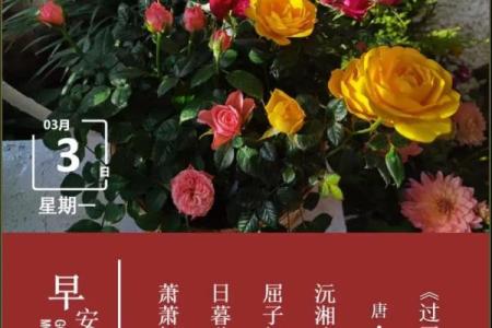 今日诗词详解：2026年12月装修最吉利日子，一流日历词语解答精选最佳全面释义